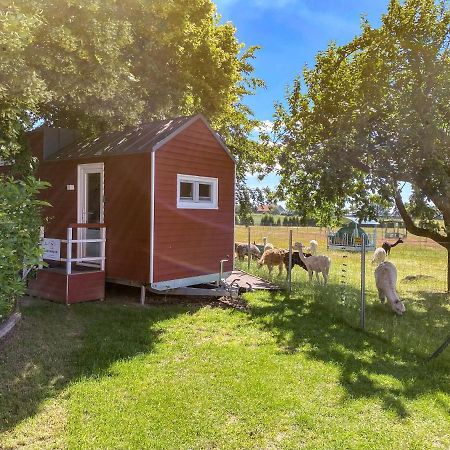 Tiny House Auf Der Alpaka Farm Rubkow Exterior foto