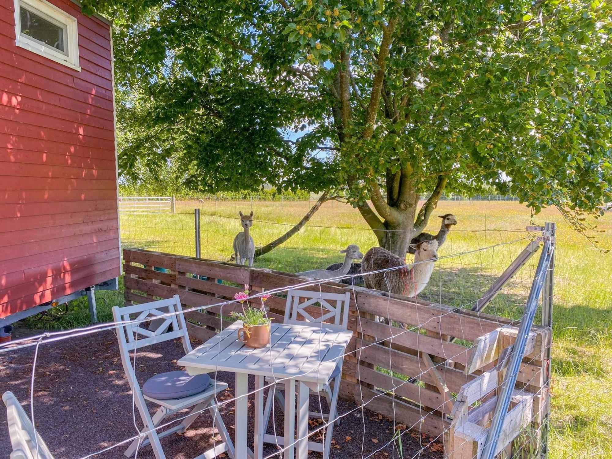 Tiny House Auf Der Alpaka Farm Rubkow Exterior foto